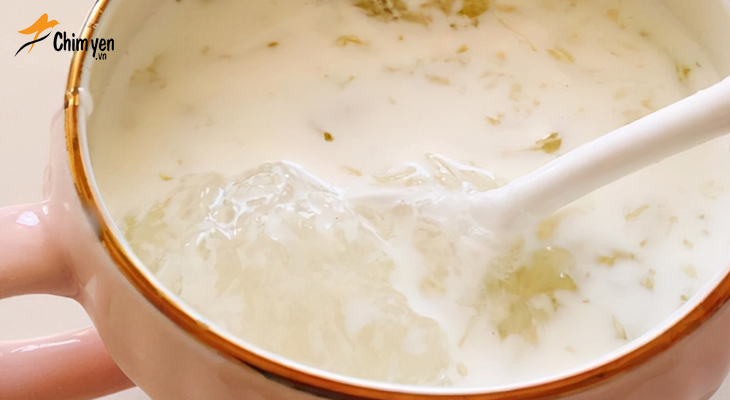 Tổ yến chưng sữa mang đến nguồn dưỡng chất vô cùng quý báu